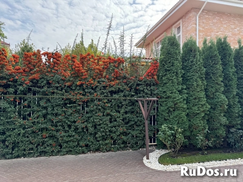 Краснодар изображение 12