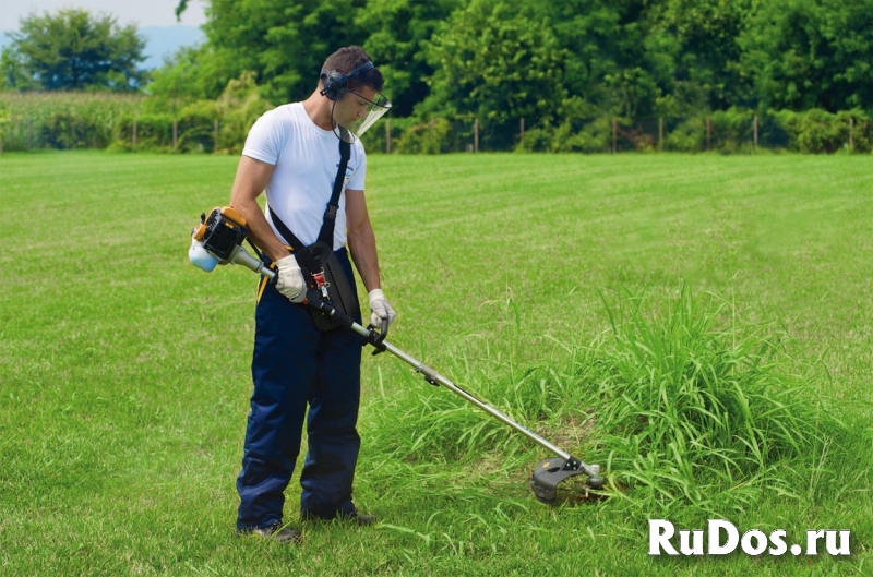 Расчистка участков, газон под ключ изображение 4