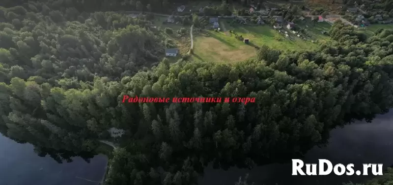 Земельный участок у леса фотка