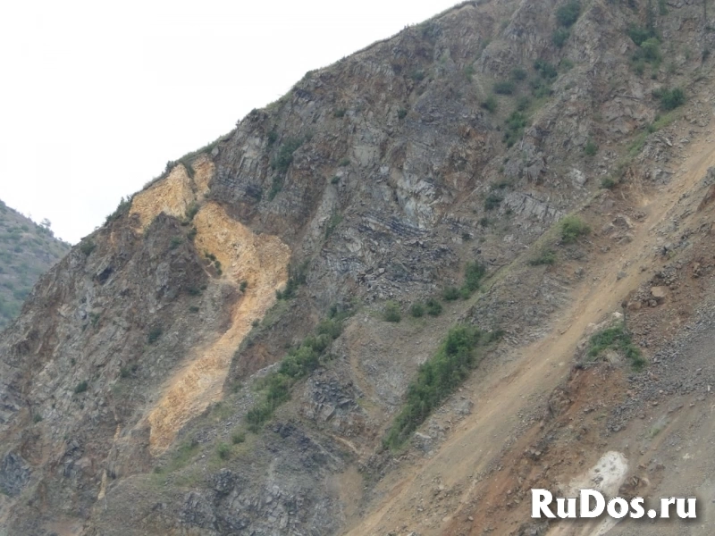 Навстречу китам! Тур по акватории Охотского моря. изображение 3