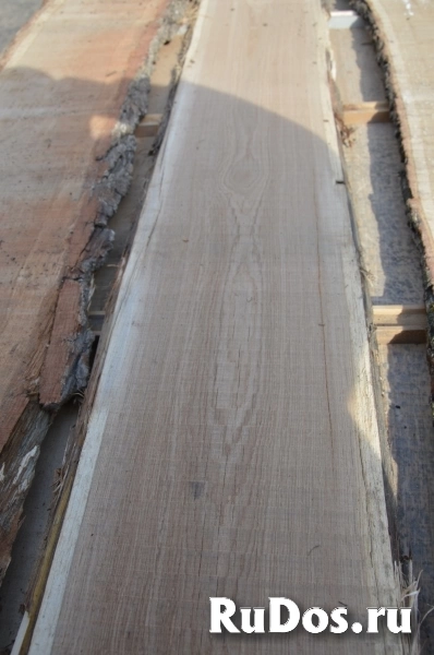 Доска ясеня обрезная, не обрезная, сухая, сырая. фото