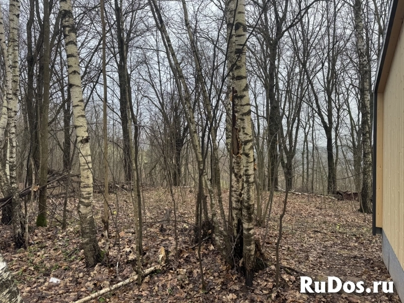 Живописный участок Истра изображение 9