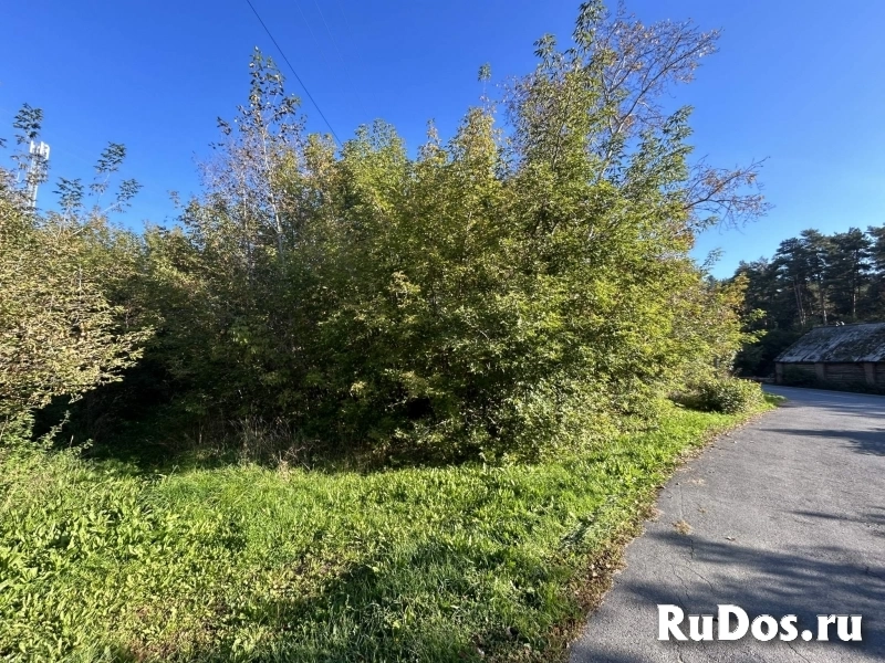 Продам коммерческую недвижимость 536 м2 изображение 8