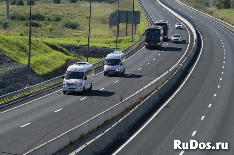 Кингисепп фотка