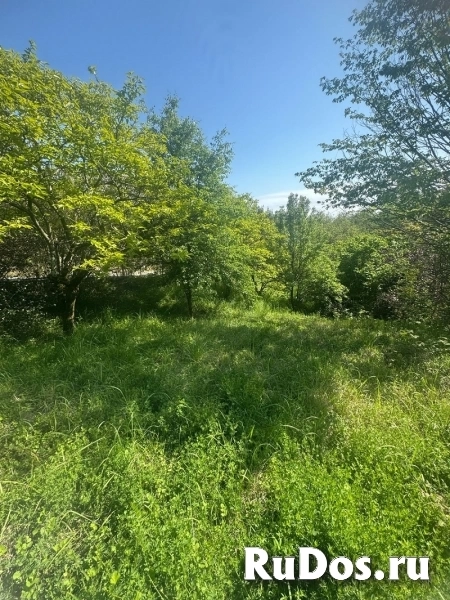 Дом в Сочи недорого! изображение 3