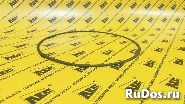 Уплотнительное кольцо  0750.112.178 фотка
