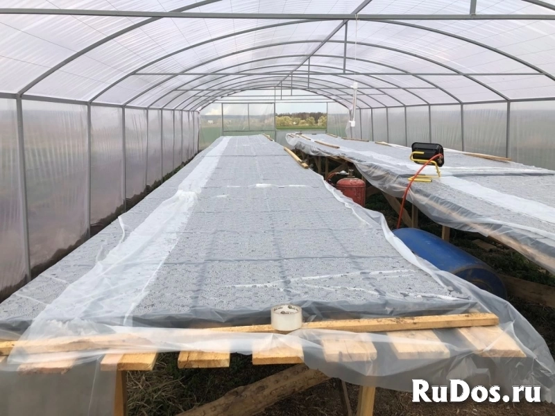 Продажа сельскохозяйственного производства изображение 8