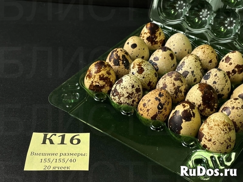 КОРРЕКС (УПАКОВКА) ПОД ПЕРЕПЕЛИНОЕ ЯЙЦО с 20-ю ячейками. изображение 3