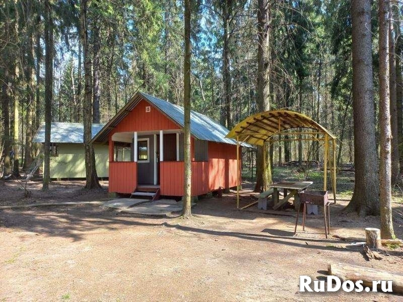 Аренда домика на турбазе «Молодость», 2000 р. фото