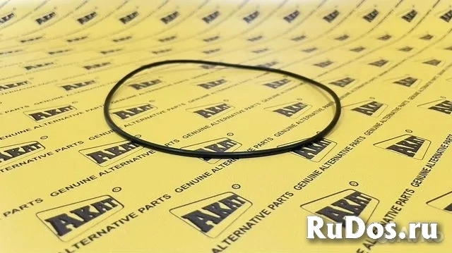 Уплотнительное кольцо 028571 OEM изображение 3