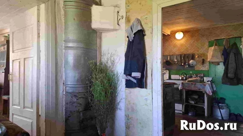 Дом на уютном хуторе у хвойного леса под Псковскими Печорами, 6 Га. земли изображение 6