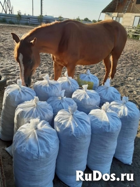 Навоз конский свежий и перегной 1-2 года в Яросл фотка