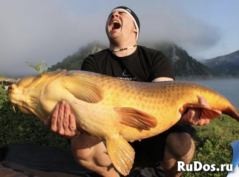 Ищу попутчика на рыбалку в Санкт-Петербурге (или г. Ломоносов) фото