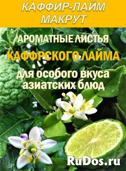 Гидролаты и функциональные купажи ProGynuru — сила тропических растений для здоровья и красоты изображение 8