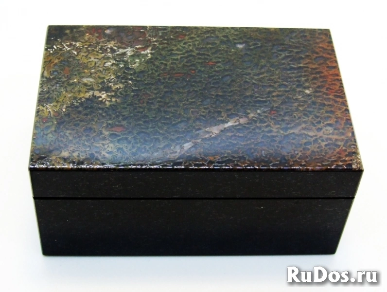 Динозавр - Коллекционная Шкатулка из окаменевшей кости - камня Динобон фото