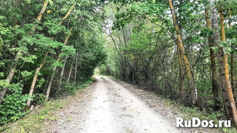 Большой добротный дом с баней, 38 соток земли изображение 8