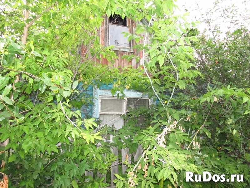 Дача СНТ КСМ-2 фотка