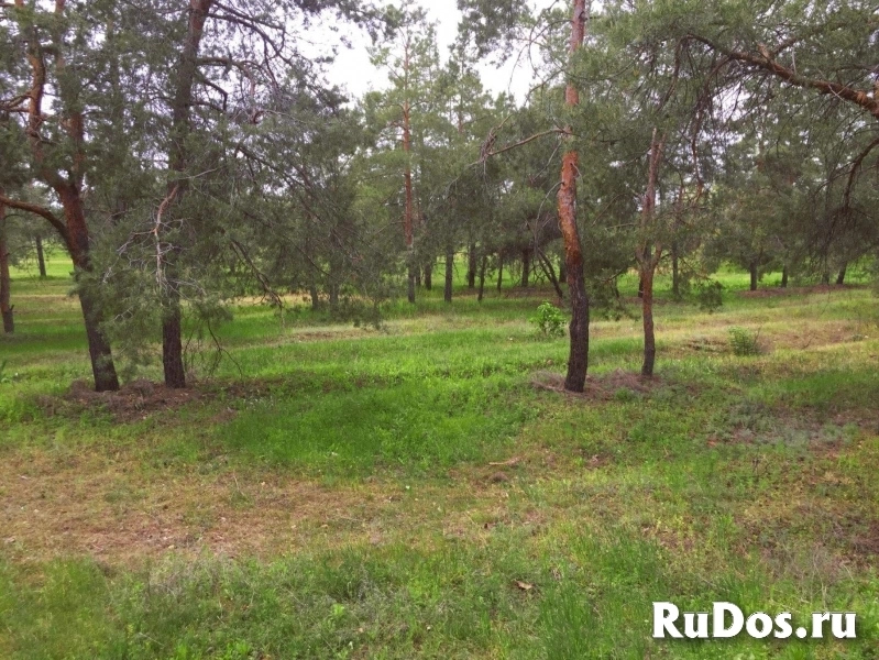 Продам дом 608.1 м2 изображение 9