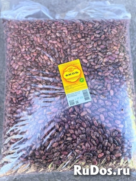 Фасоль фотка