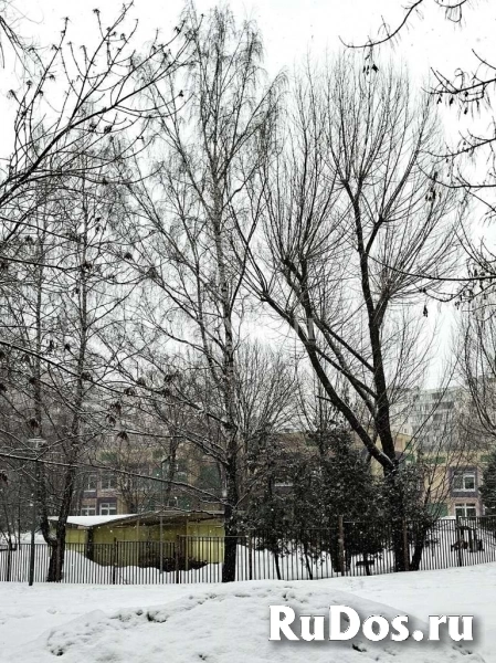 Продам 1 комнатную квартиру 39 м2 изображение 9