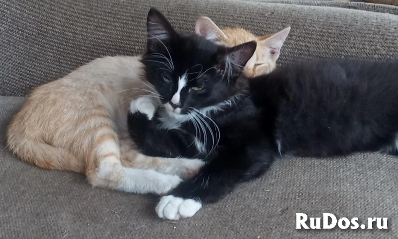 Для добрых людей изображение 5