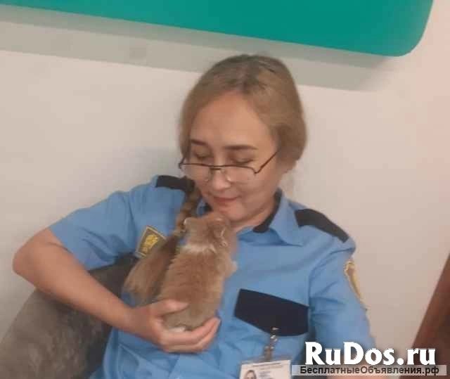 Кролики от Крёстной Золушки изображение 5