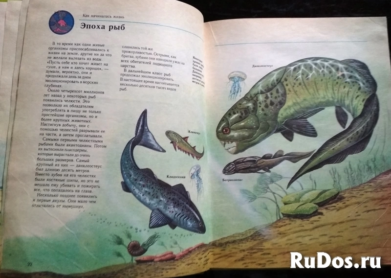 книга Мэтьюс Руперт. Что было до нашей эры изображение 3