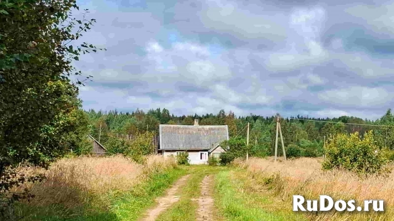 Дом на уютном хуторе у хвойного леса под Псковскими Печорами, 6 Га. земли фотка