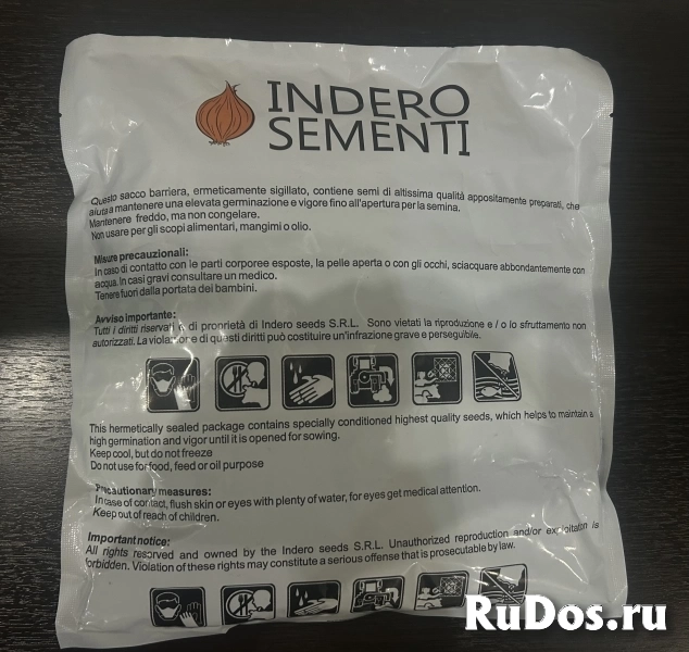Семена лука RICH F1 INDERO SEMENTI (Италия) изображение 3