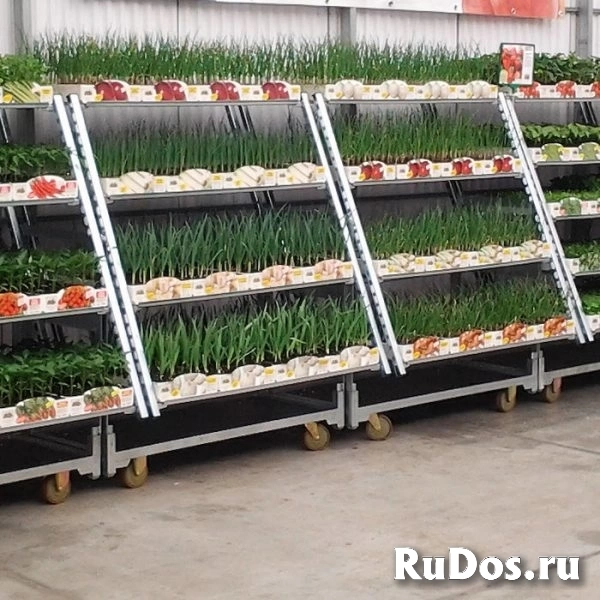 Тележка- трансформер Кабриолет фотка