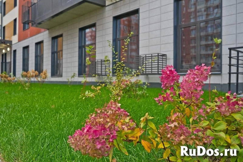 Продам коммерческую недвижимость 47.9 м2 изображение 8