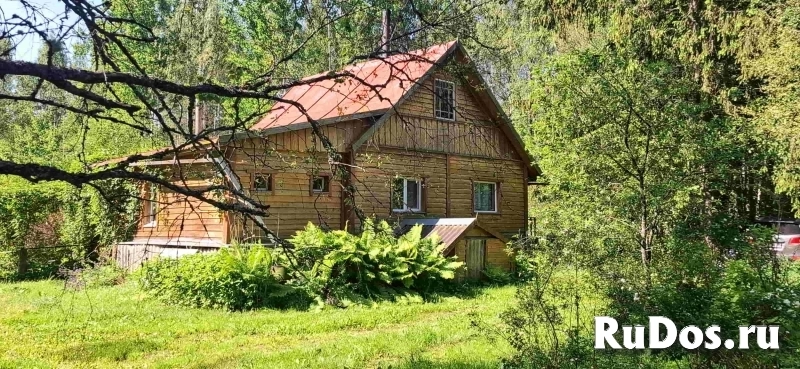 Добротный крепкий дом в лесу на хуторе изображение 3