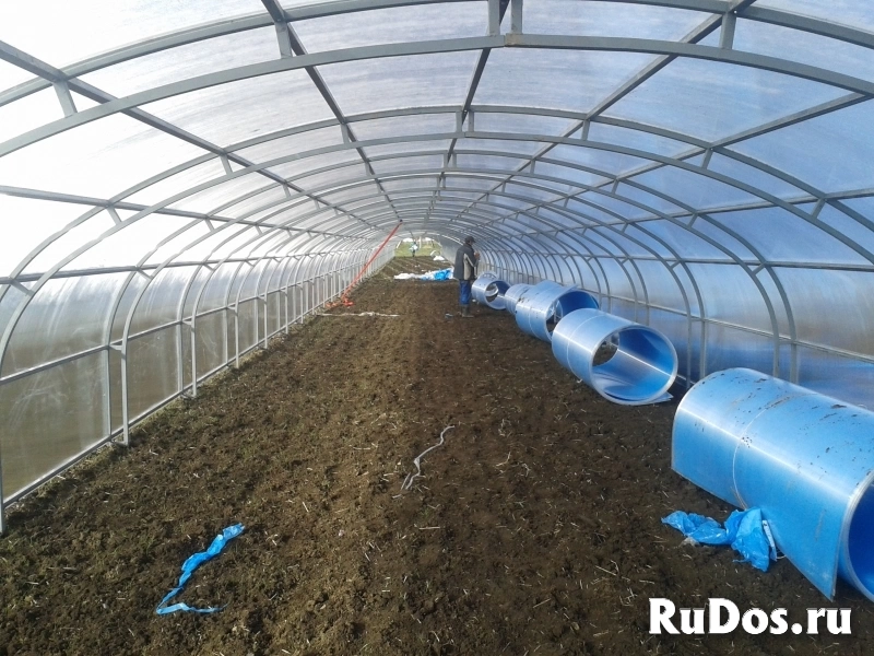 Теплицы ширина 5,25 метра фотка