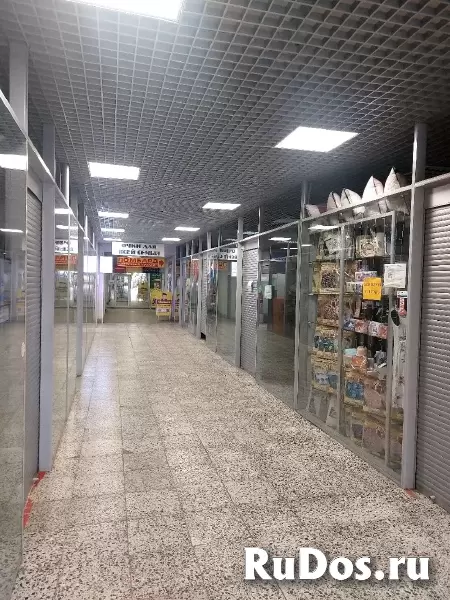 Сдам в аренду помещение от собственника в г Ломоносов 26,1 кв.м кв.м. фотка