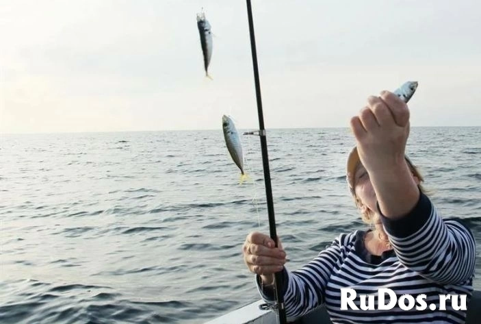 Морские прогулки, рыбалка изображение 3