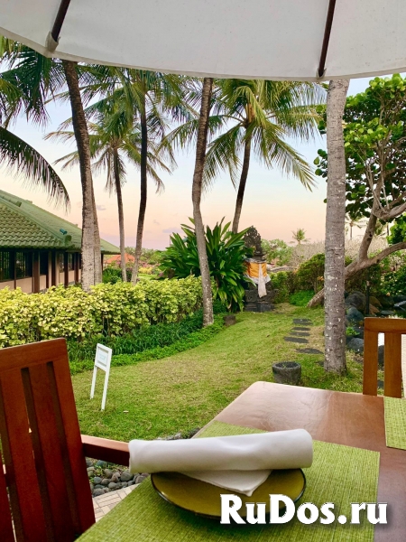 Организую отдых на о.Бали Индонезия или переезд на ПМЖ изображение 6