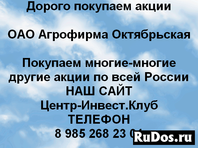 Покупаем акции ОАО Агрофирма Октябрьская фото