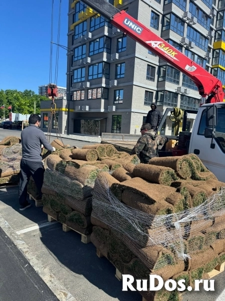 Краснодар изображение 9