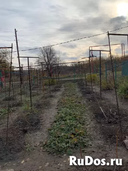 Продам квартиру-дом изображение 4