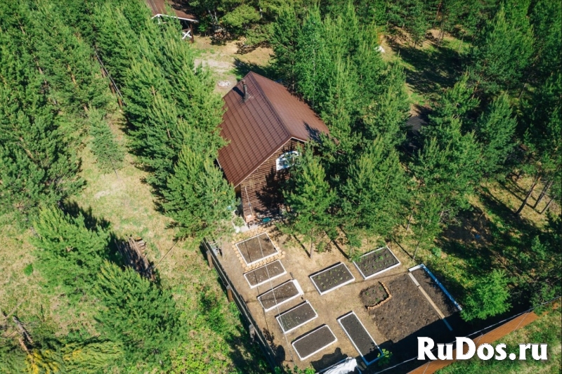 Земельный участок с озером и лесом изображение 8