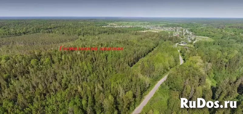 Земельный участок у леса изображение 4