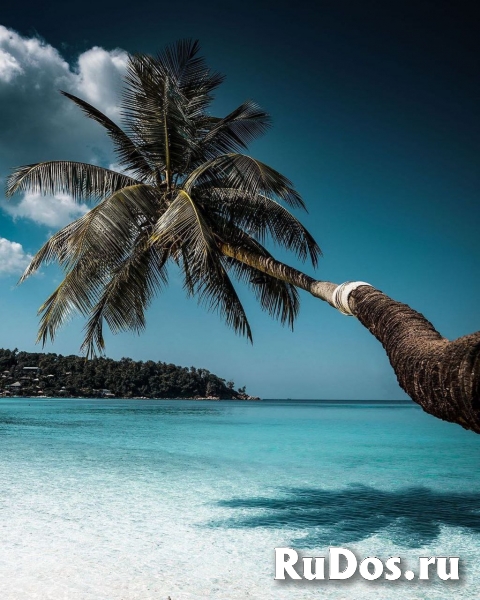 Туры по России и за рубеж фото