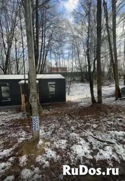 Рельефный участок с вековыми деревьями. фотка