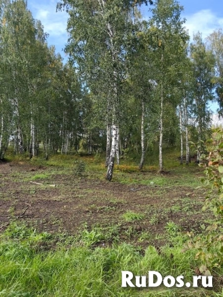 Производственная База 1,1 Га изображение 8