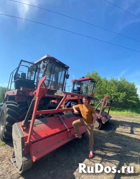 Расчистка участка мульчером от 1 Га, спил деревьев изображение 8