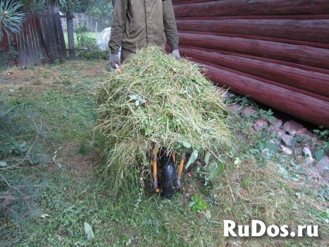 Покос Травы, Бурьяна, Сухостоя фотка