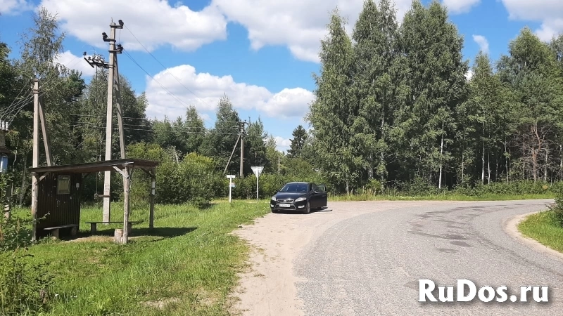 Уютный участок под строительство дома в березовой роще изображение 7