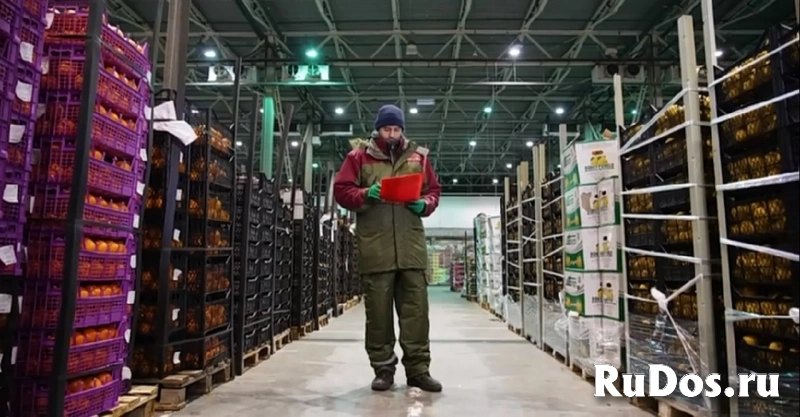 Товаровед-Эксперт плодоовощной продукции фото