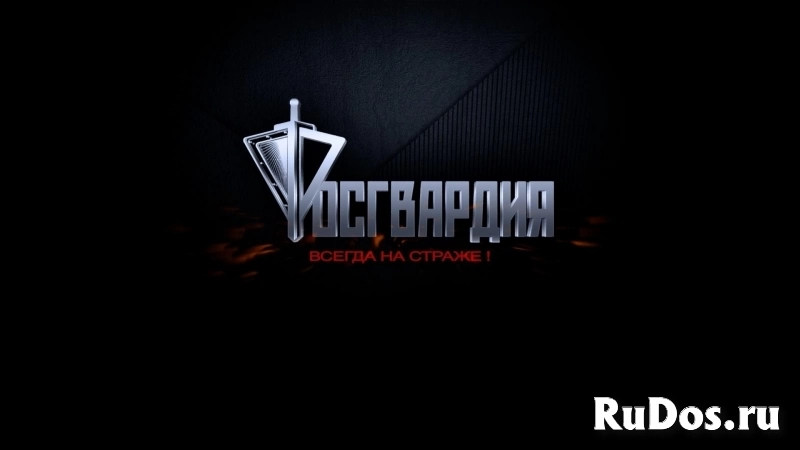 Полицейский фото