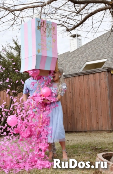 Гендер вечеринка, гендерные шары изображение 4